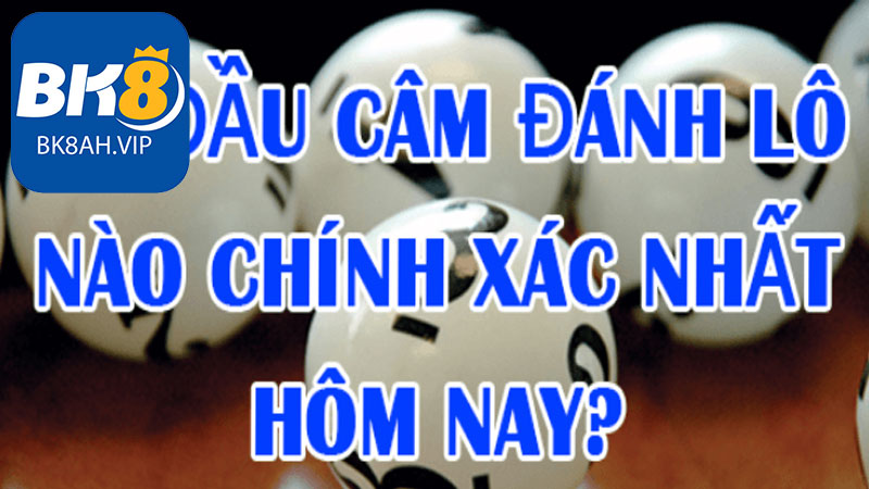 Kinh nghiệm chơi lô câm là gì?